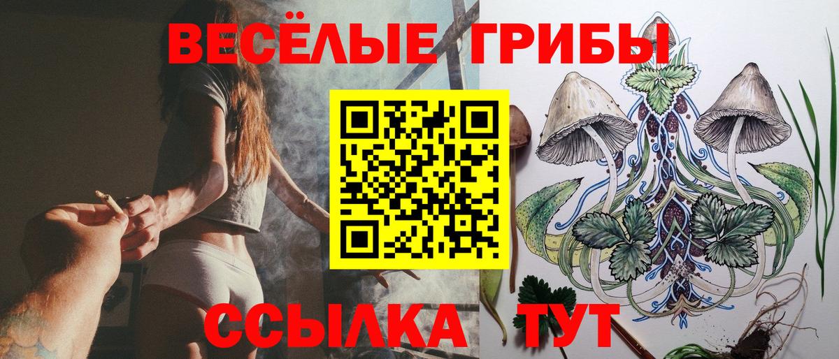 Псилоцибиновые грибы Cubensis Саров
