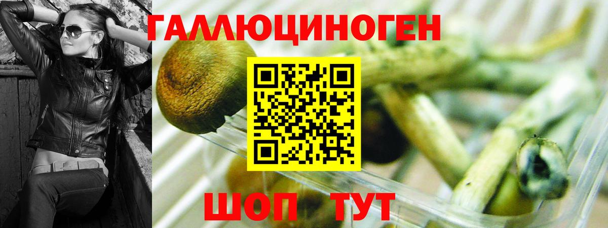 Галлюциногенные грибы Psilocybe  Псилоцибиновые грибы Psilocybe  Вход с VPN  Саров 